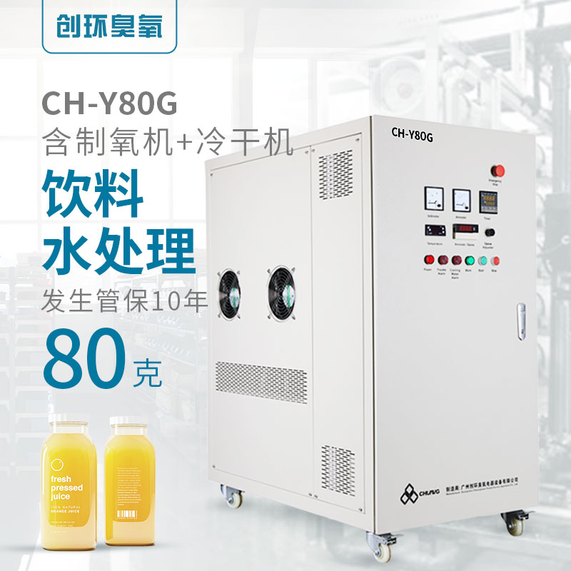 CH-Y高浓度氧气源水冷一体机80g/h